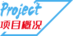 Project